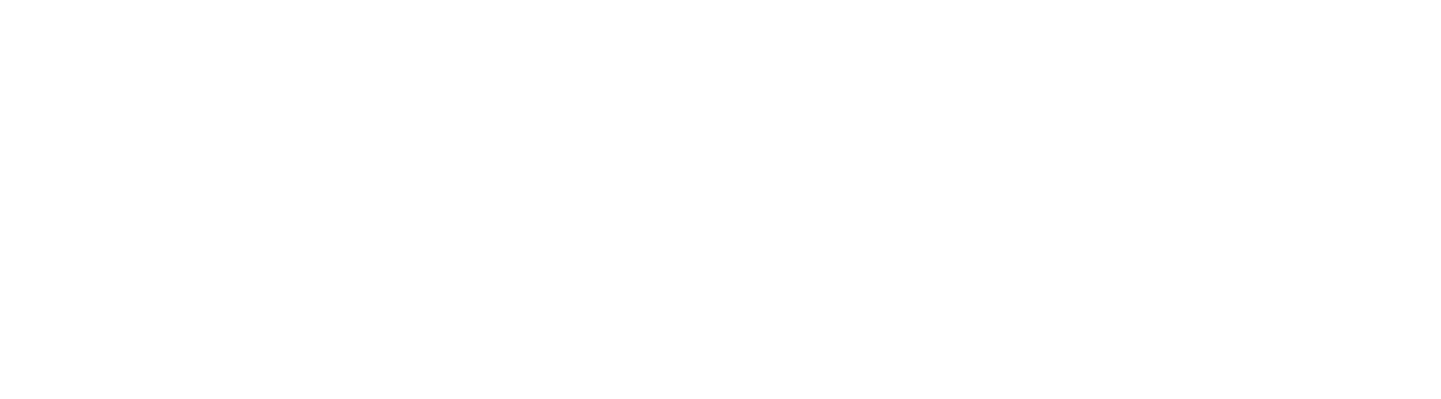 Nambagi Silva Optima